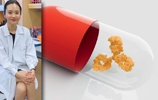 Descubren la influencia de la proteína IL-11 en longevidad y envejecimiento