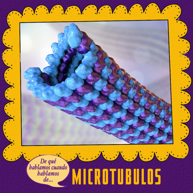 microtubulos