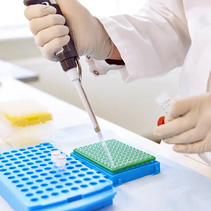 BIOMARCADORES