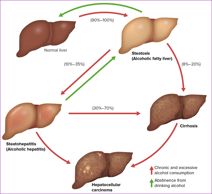 DETOXIFICACION HEPATICA