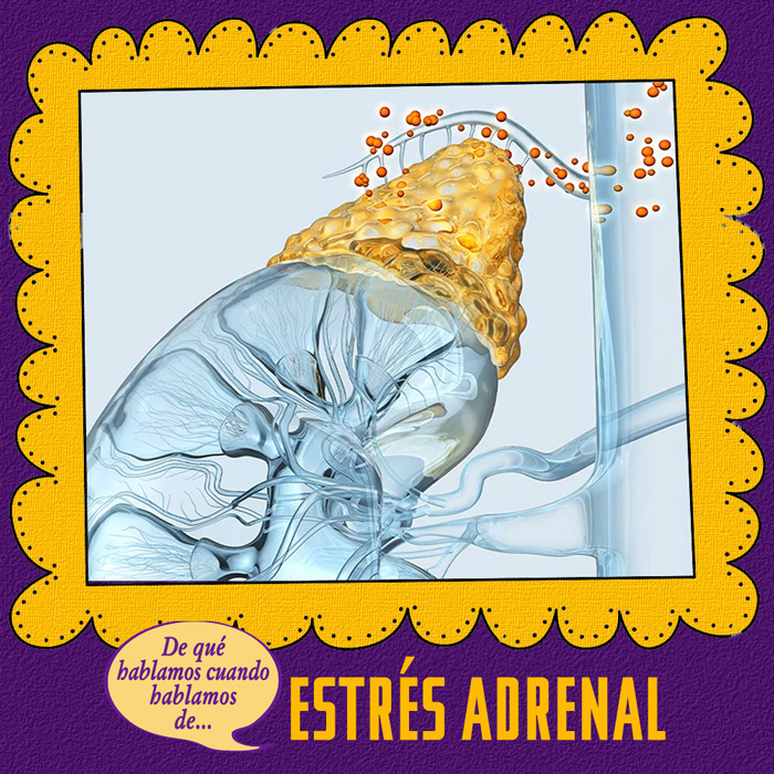 ESTRES ADRENAL