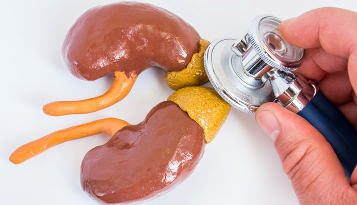 ESTRES ADRENAL