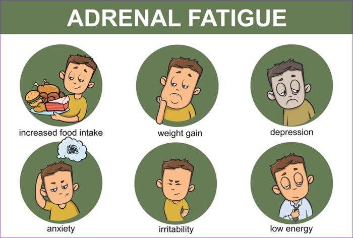 ESTRES ADRENAL