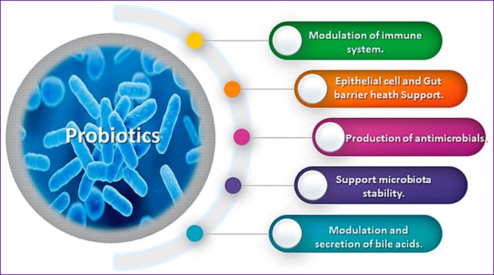 PROBIOTICOS