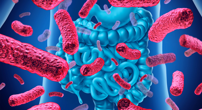 PROBIOTICOS