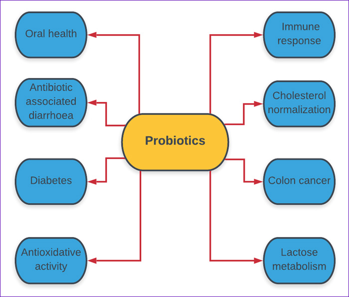 PROBIOTICOS
