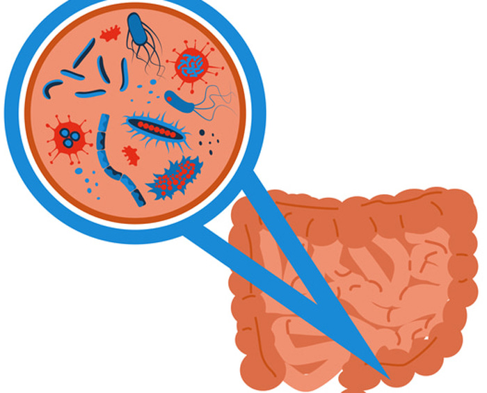 PROBIOTICOS