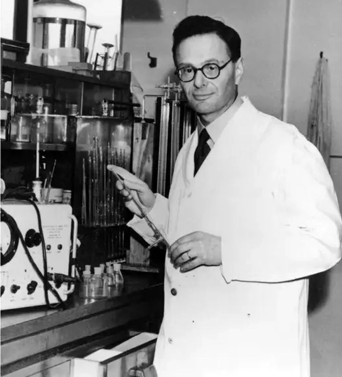 Hans Krebs