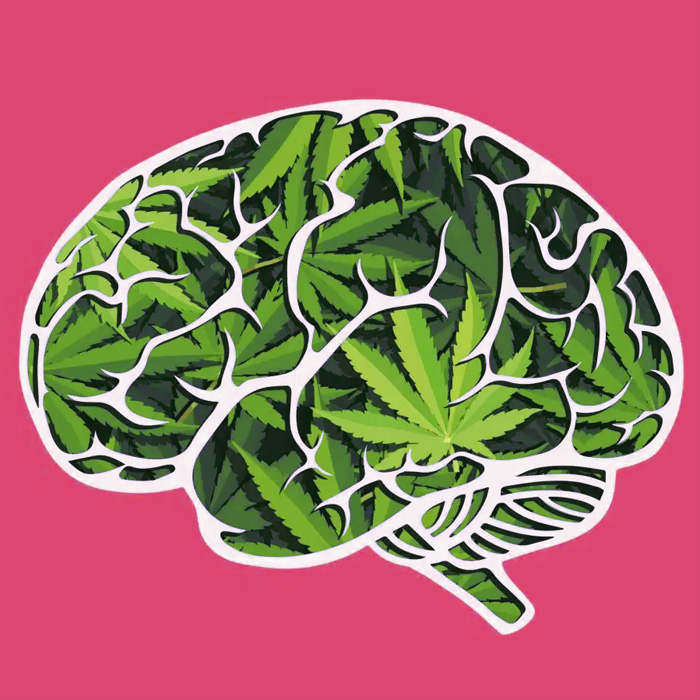 cannabis