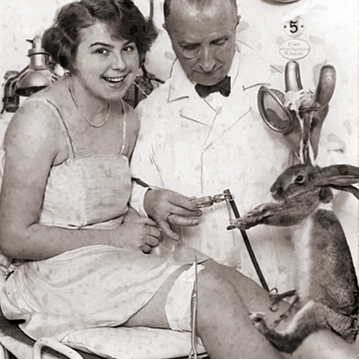 doctor zikel