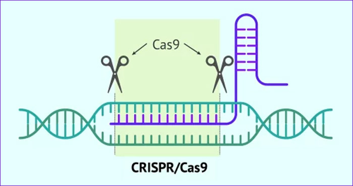 CRISPR-Cas9