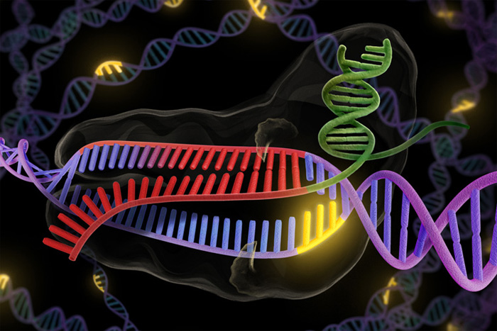 CRISPR-Cas9