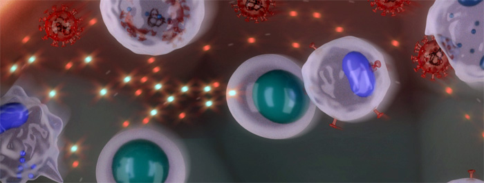 BIOMARCADORES