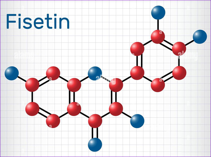 FISETINA