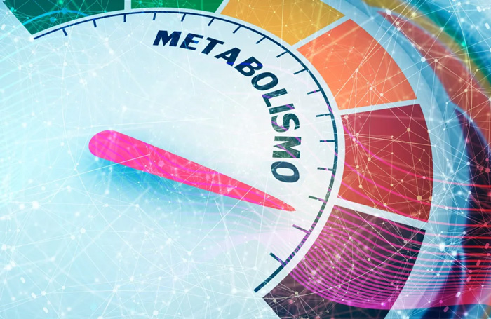 Flexibilidad Metabólica