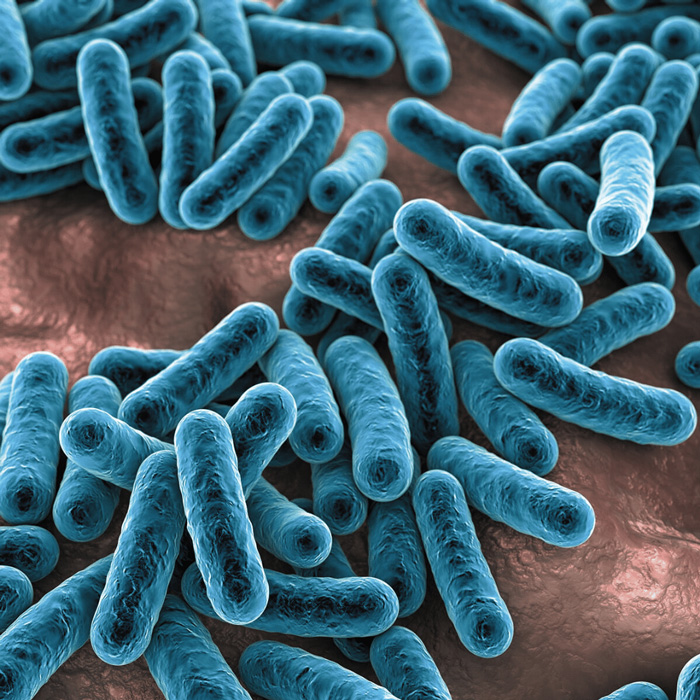 MICROBIOTA CUTANEA