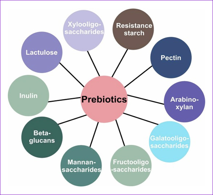 PREBIOTICOS