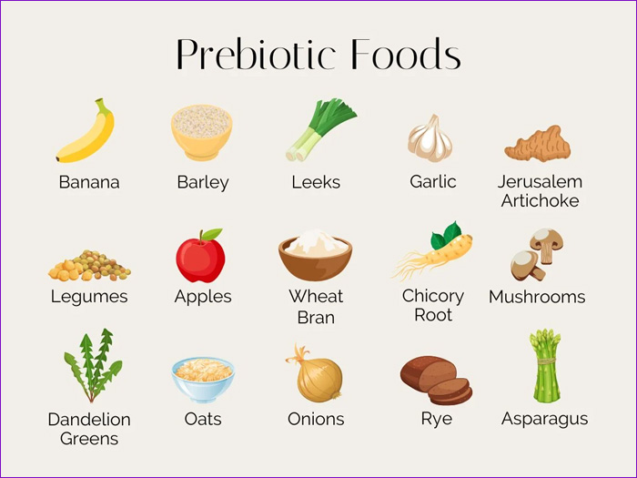 PREBIOTICOS